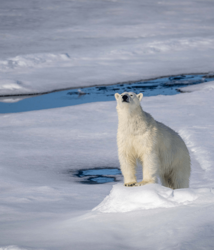 Climate Science Image