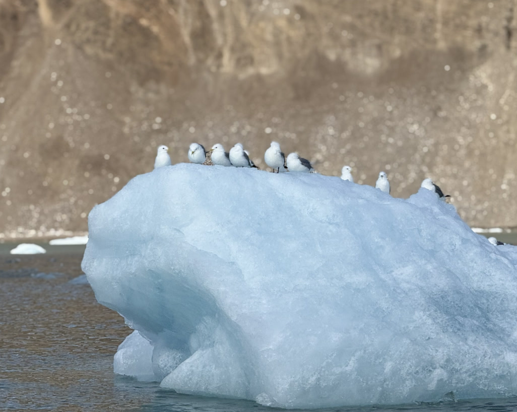 Climate Science Image