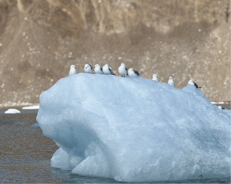Climate Science Image