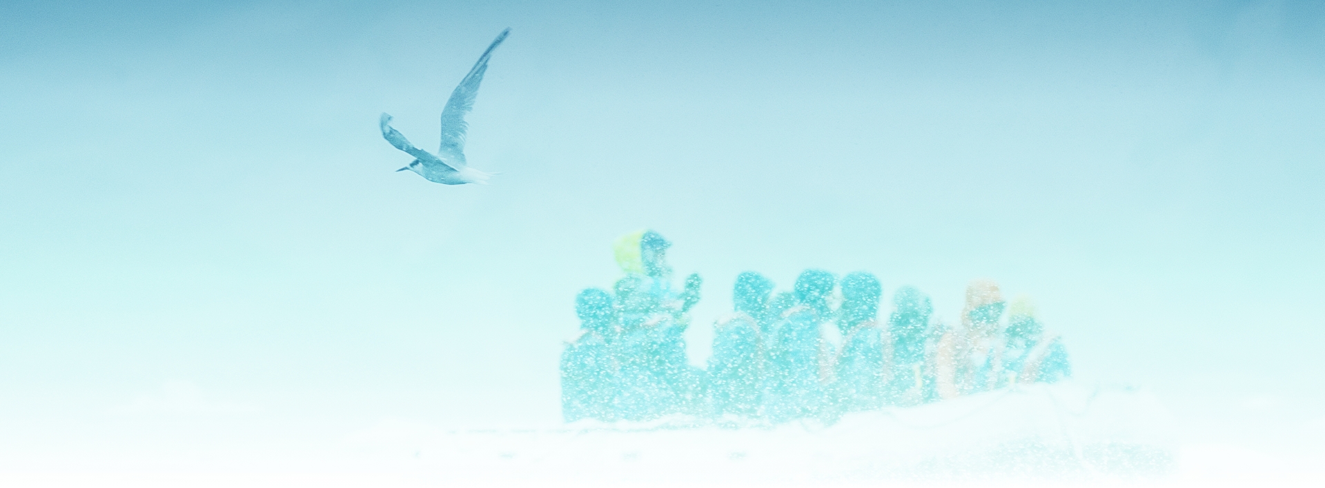 ClimateForce Antarctica Expedition