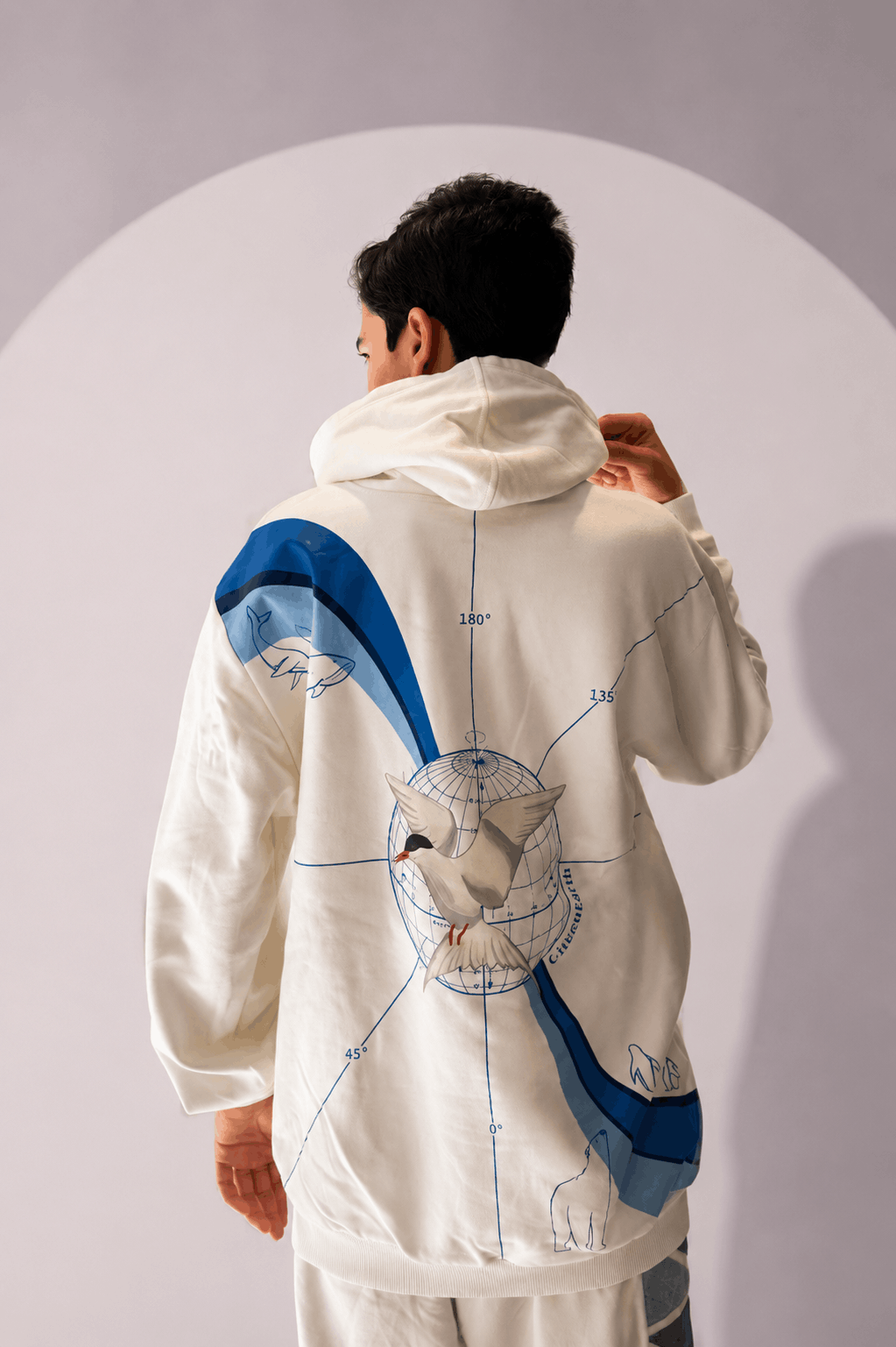 Close-up detail of Across the Globe Hoodie showing globe artwork, arctic tern, coordinates and polar landscapes