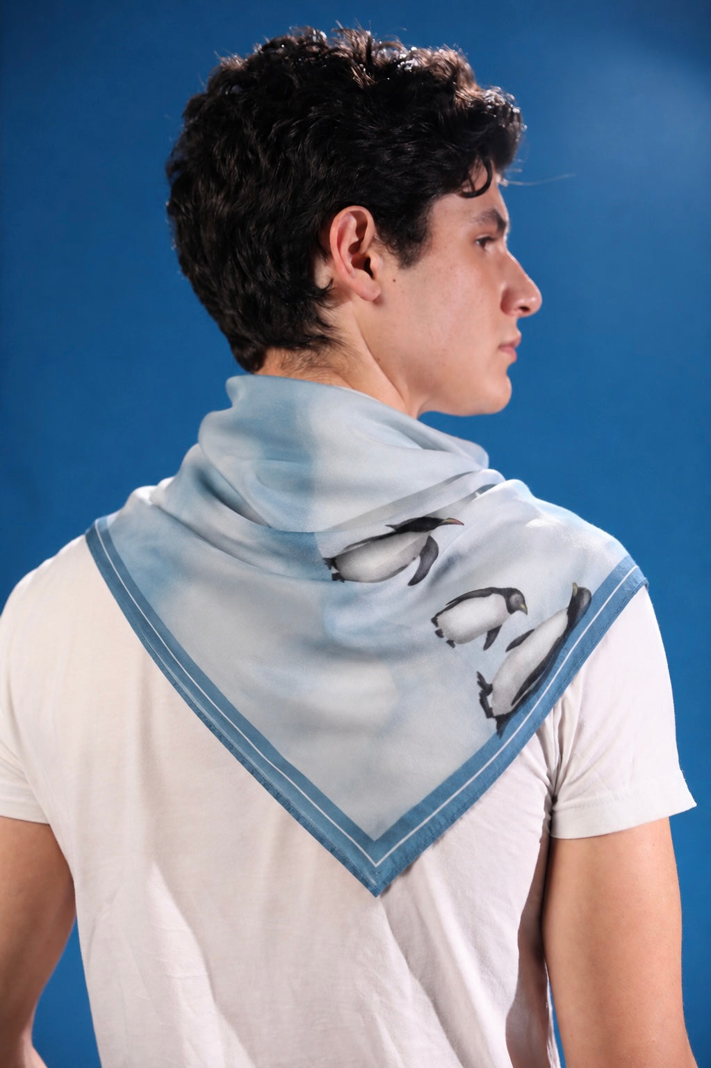 Happy Feet Club Scarf with penguins and Antarctic glacier landscape